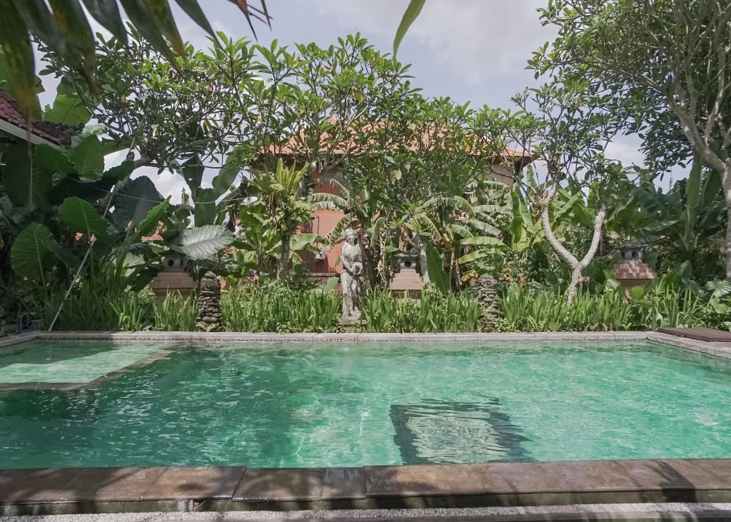 Ubud Kerta City Hotel - photo 10