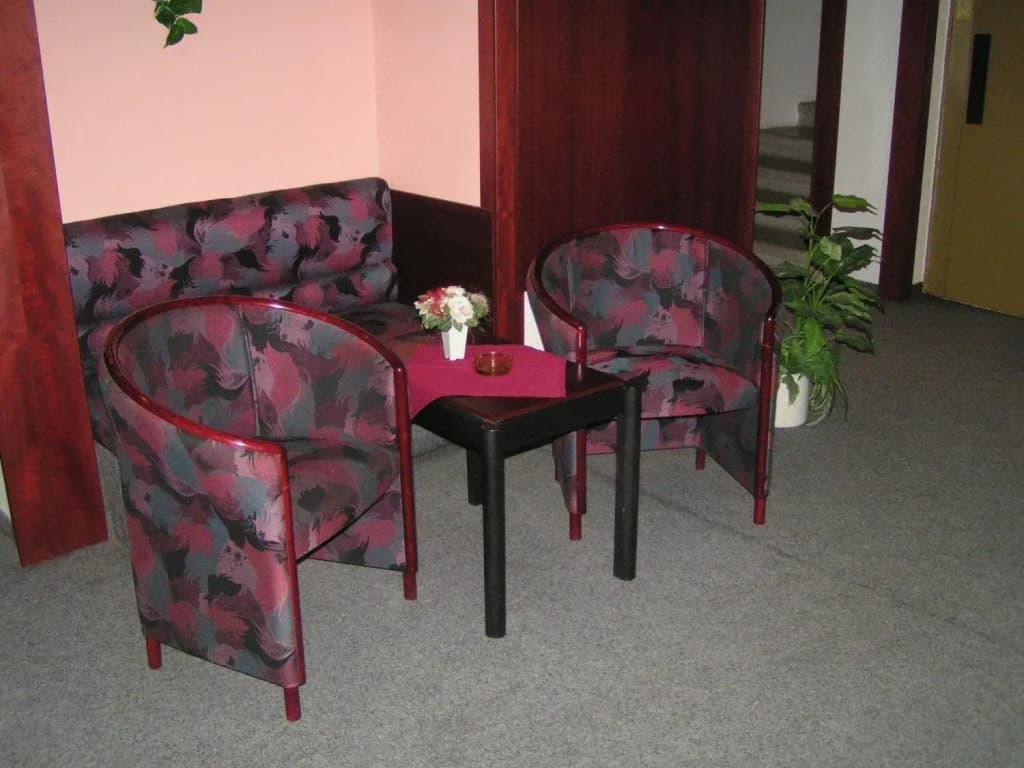 Hotel Jerabek - photo 19