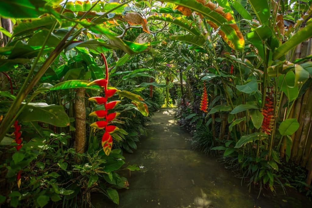 D'Bale Ananda Ubud Villa - photo 11