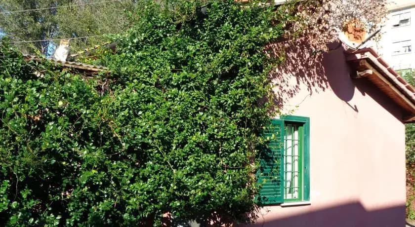 Holiday Home Buratti - photo 1