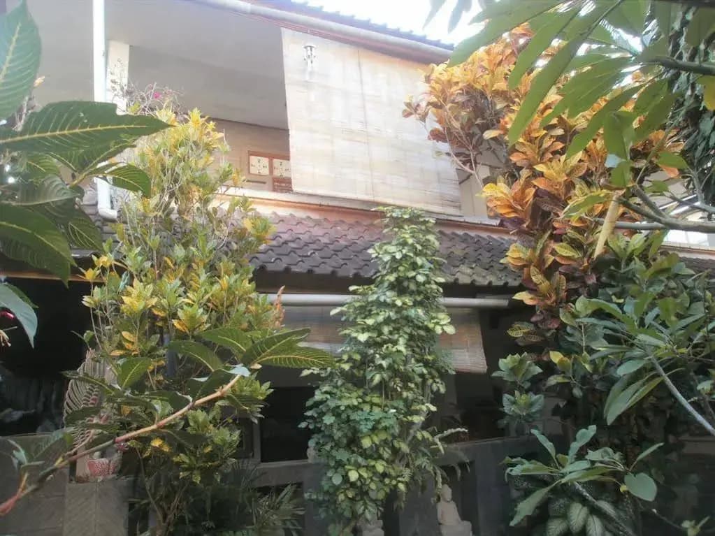 Alamanda Accomodation - photo 1
