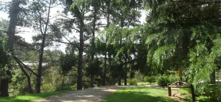 Australian Home Away@ Wonga Park Vue De Vin - photo 12