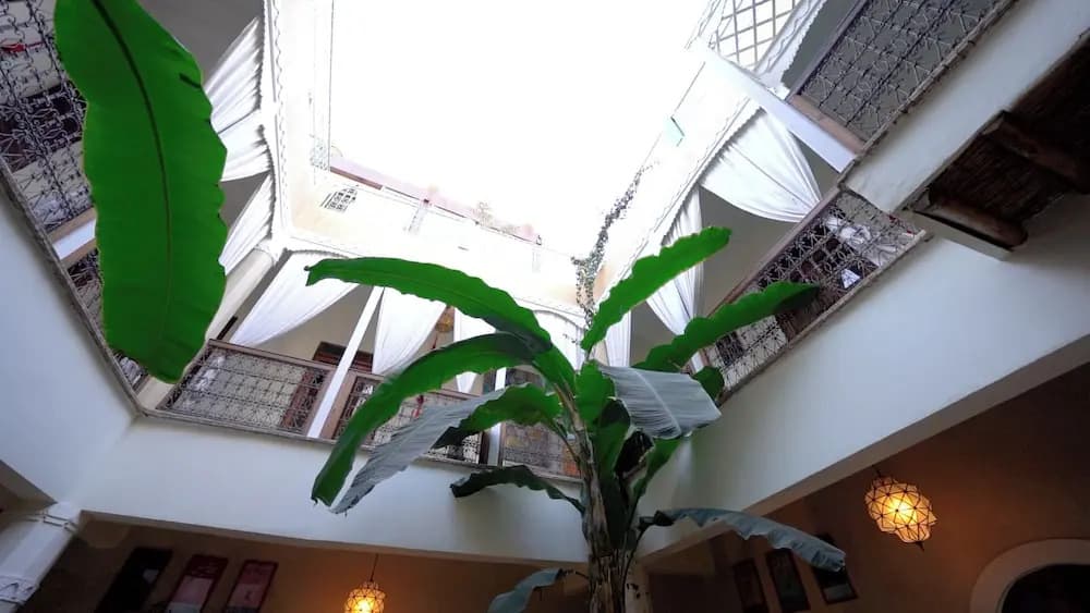 Riad Chambres d'Amis - photo 18