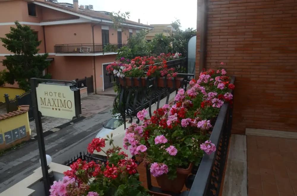 Hotel Maximo - photo 15
