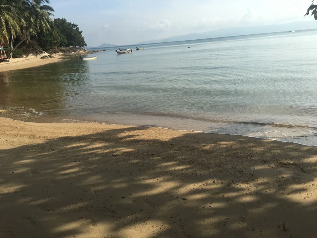 Blue Lotus Resort - photo 11