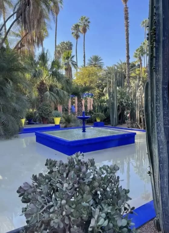 Riad Zouhour - photo 22