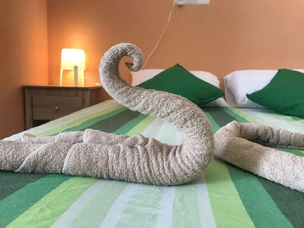 Ocean Vibes Guesthouse - photo 4