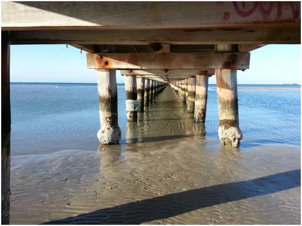 Avilla By The Bay - photo 8