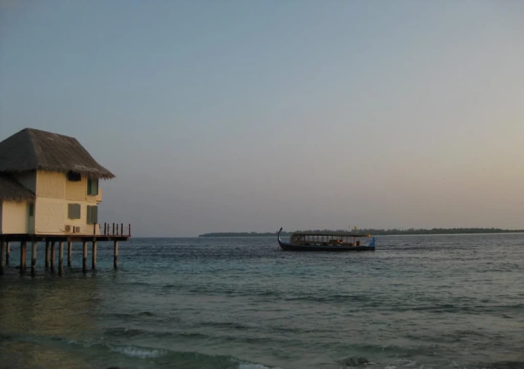Tropical Lodge - photo 6