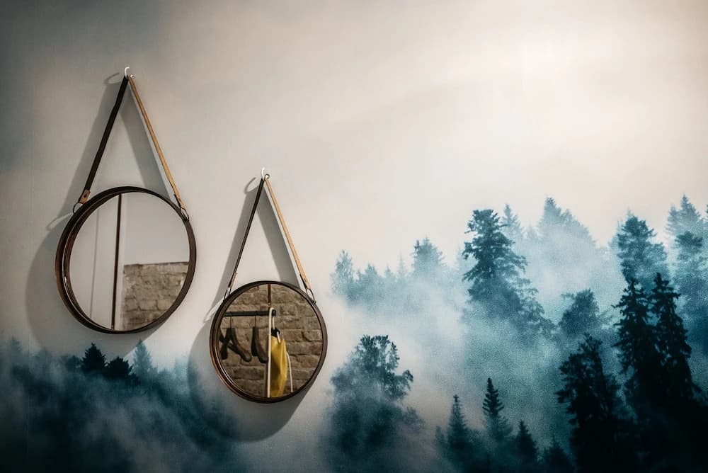 URBN Dreams - Misty Forest - main photo