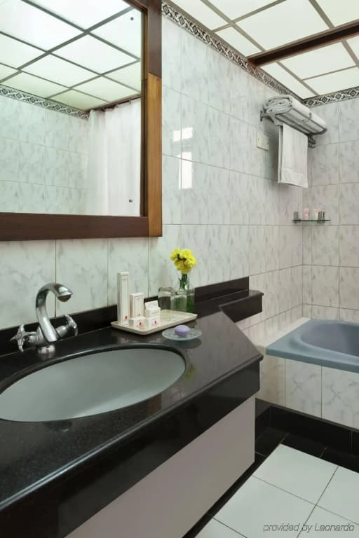 Regale Inn - photo 9