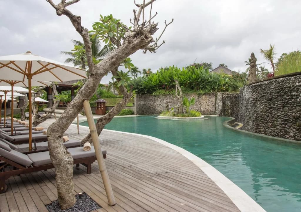 Visesa Ubud Resort - photo 35