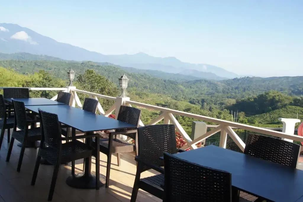 Sabah Tea Garden - photo 10