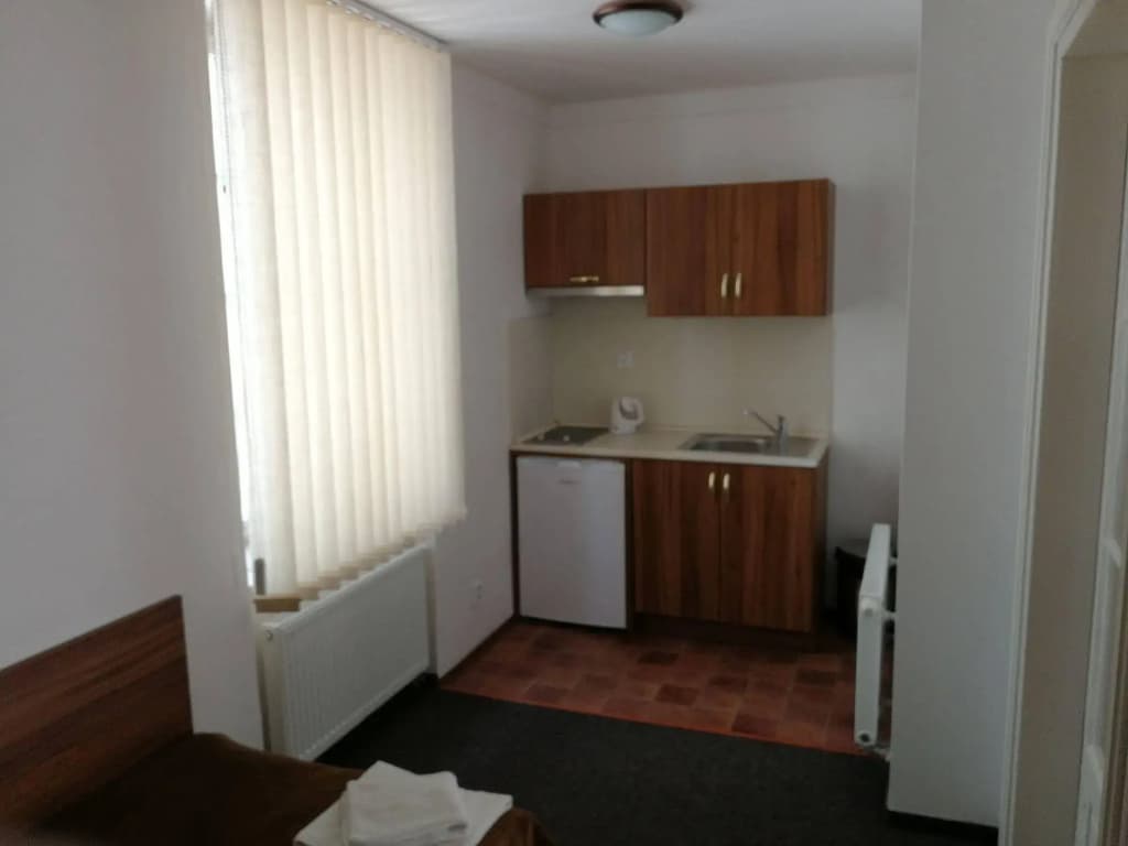 Apartments U Svejku - photo 18