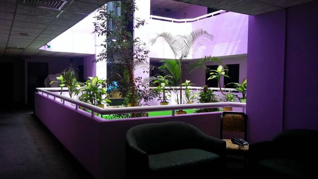 Regal Peninsula - photo 2