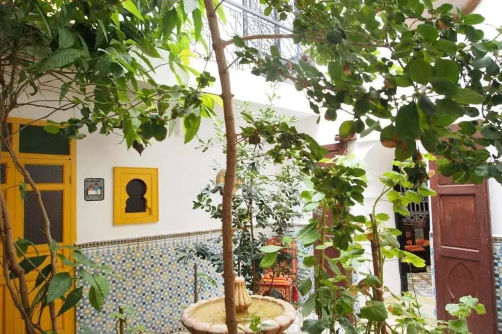 Riad Dar Tiflet - photo 13