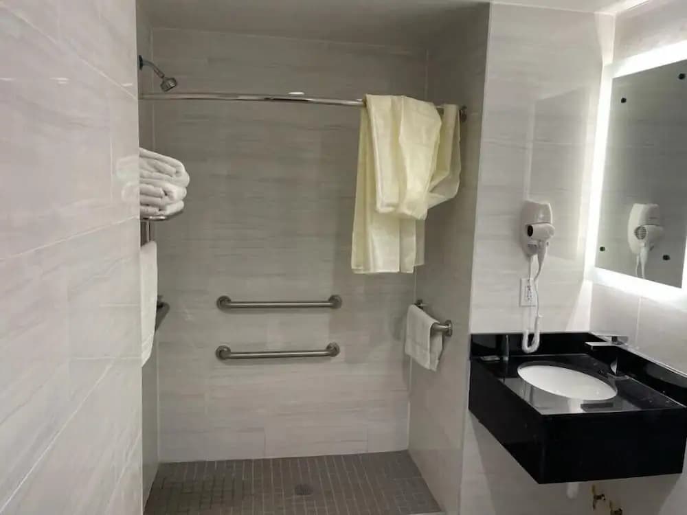 Royal Hotel Bronx - photo 7