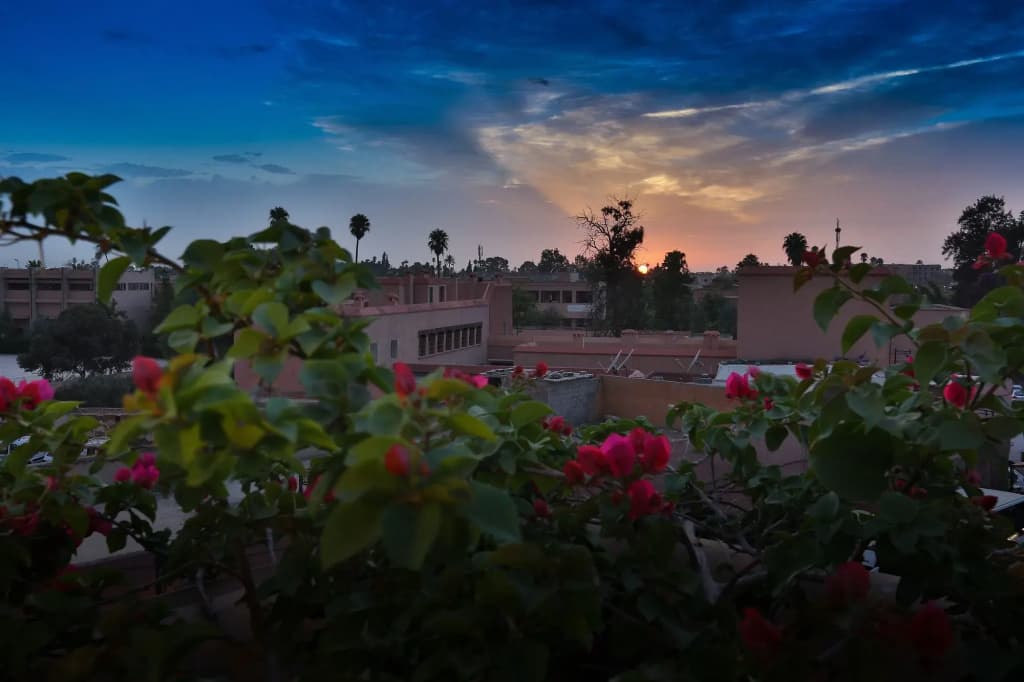 Riad Bahia Salam - photo 14