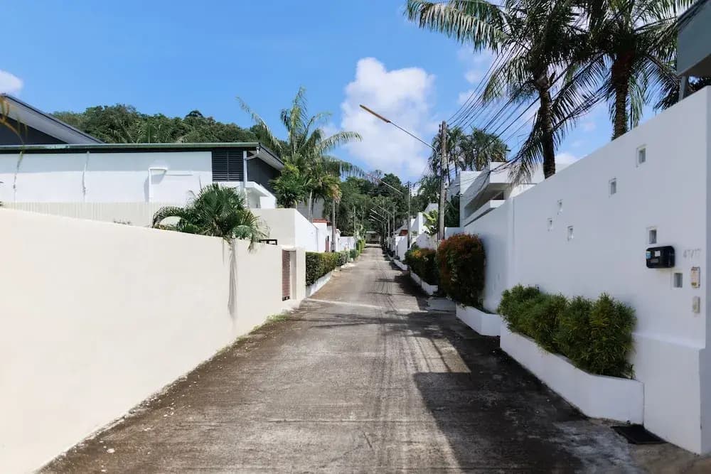 Paradise Found - photo 12