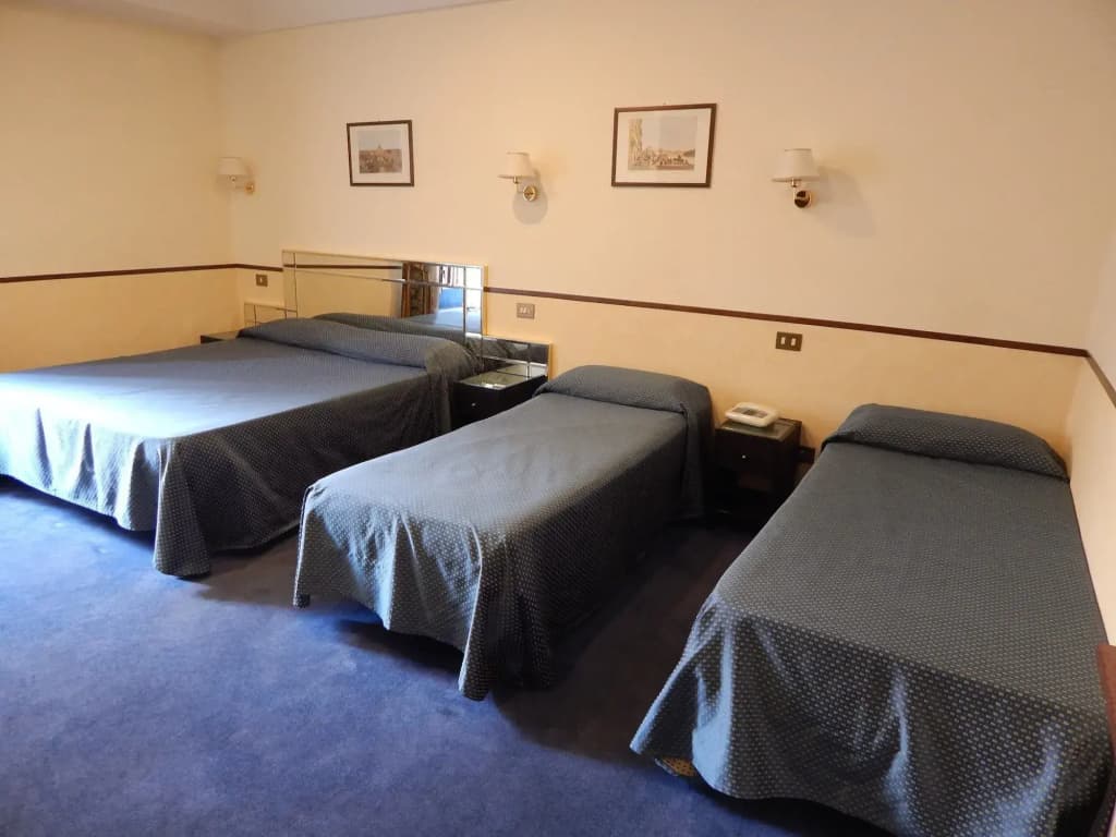 Hotel Garda - photo 4