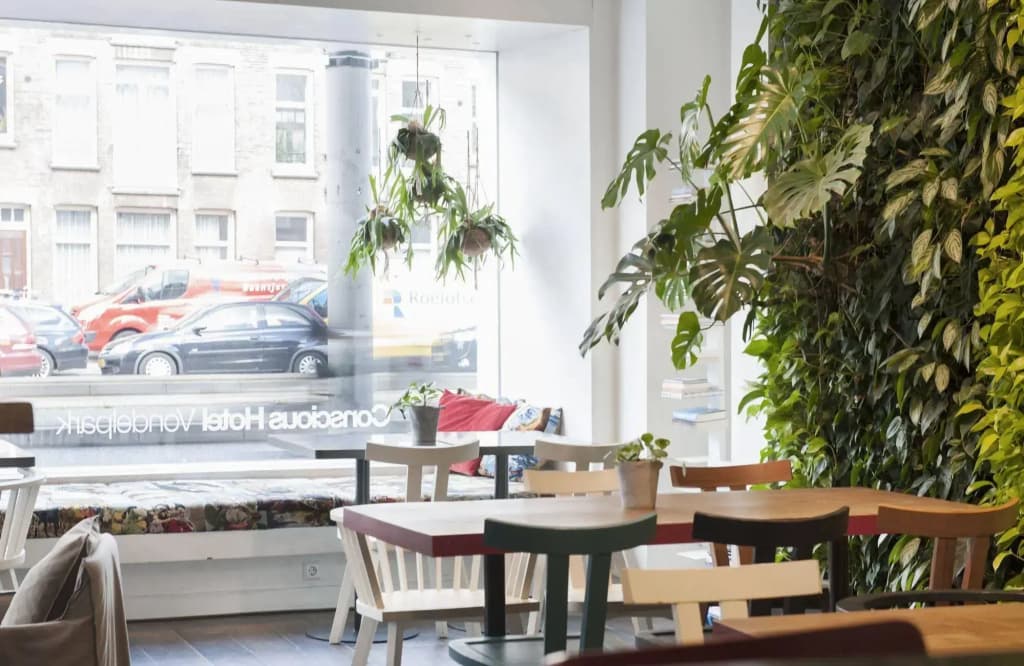 Conscious Hotel Vondelpark - photo 24