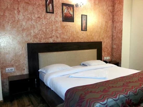 Hotel Mandakini Palace - photo 27