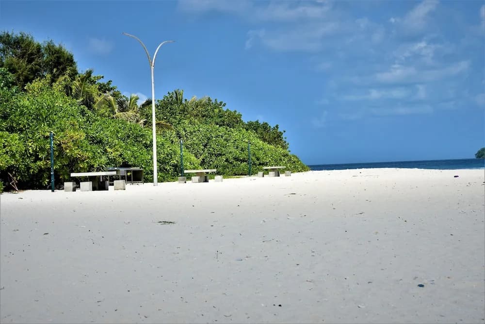 Explore Island Inn - photo 8