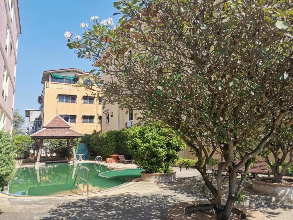 Golden Villa - photo 19
