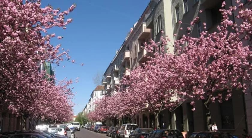 Bötzowviertel - main photo