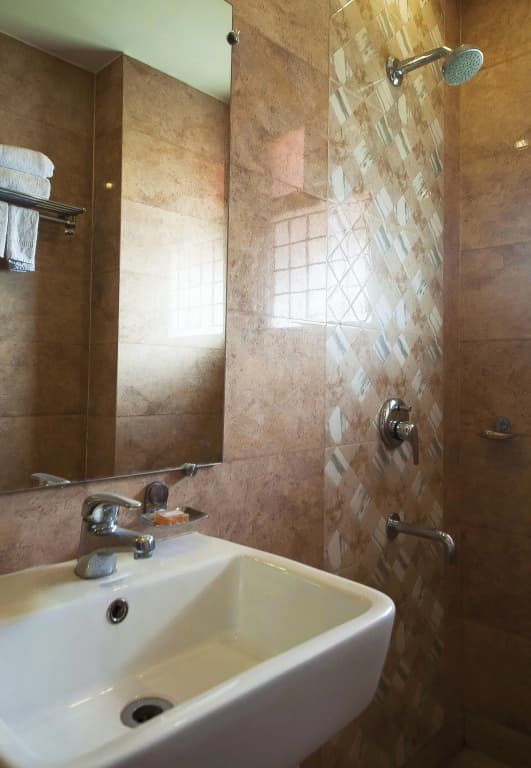 Hotel Pitrashish Premium - photo 8