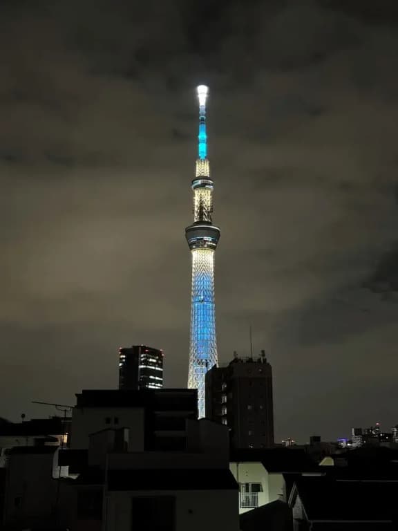 Nikaido Sky Terrace - photo 11