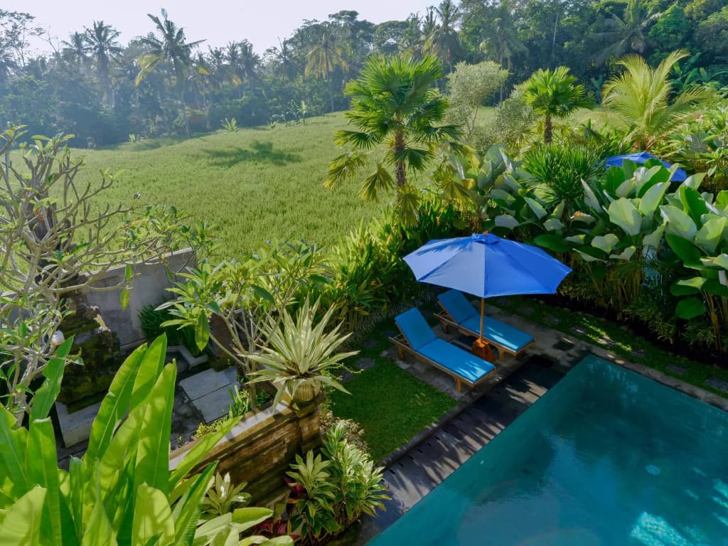 Dewi Sri Private Villa - photo 21