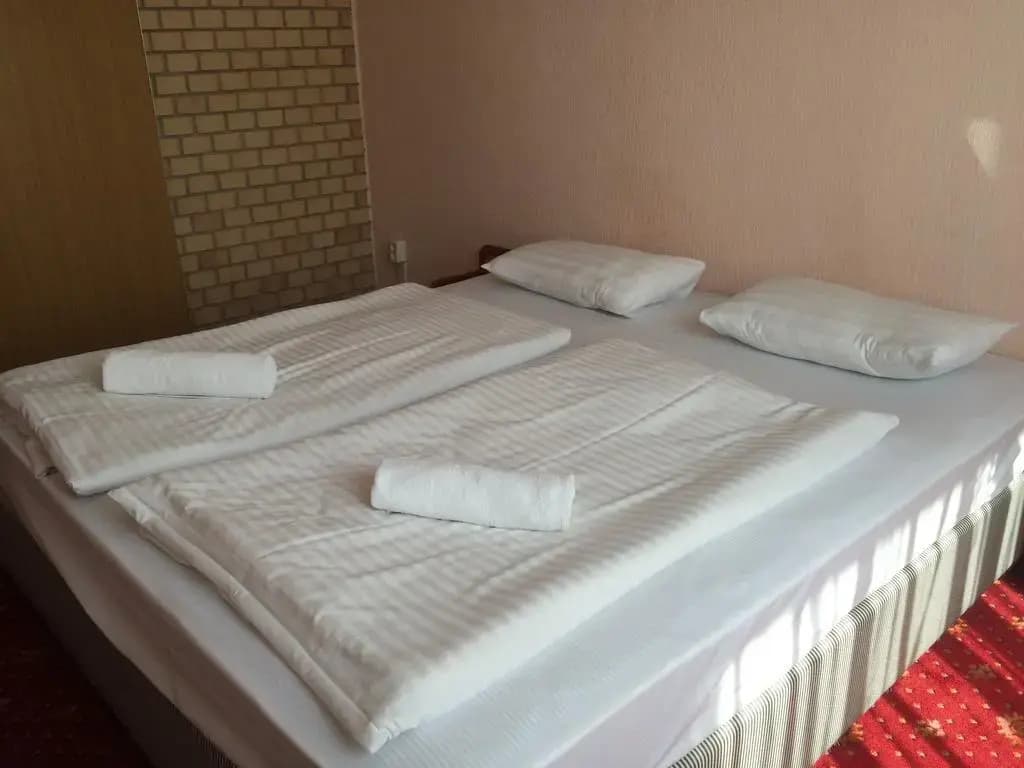 Hunor Hotel Budapest - photo 11
