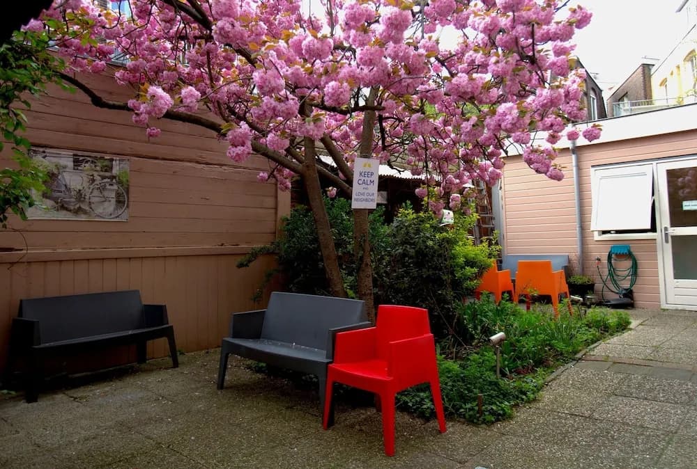 Shelter Jordan Amsterdam Hostel - photo 11