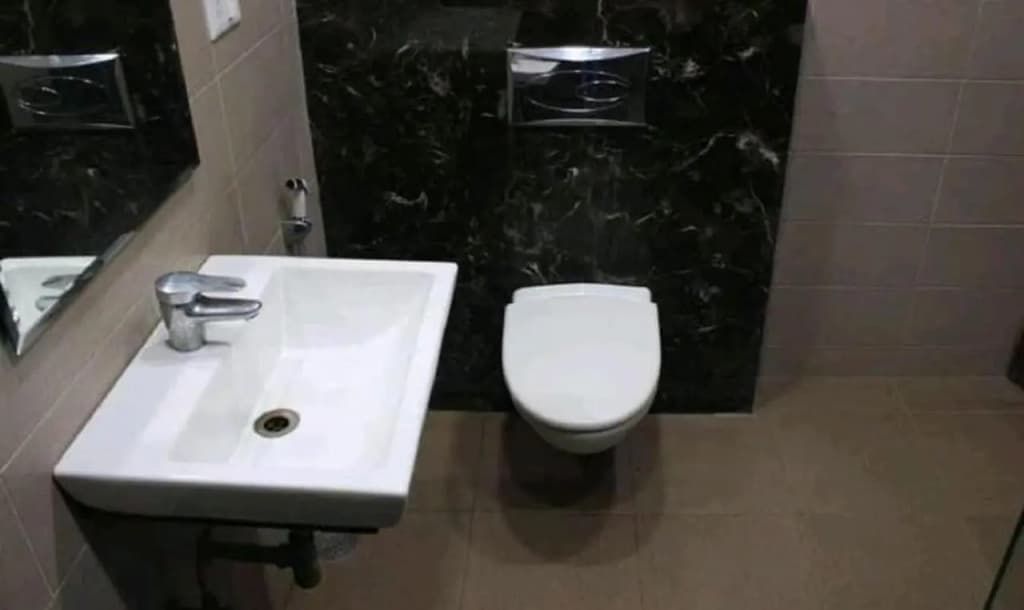 Hotel Maharaja Continental - photo 6