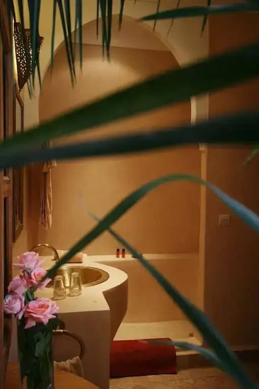 Riad Spa du Chameau - photo 14