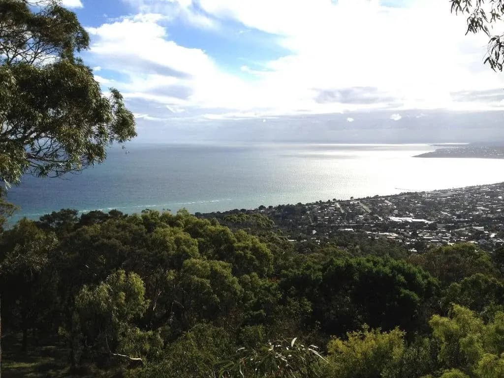 Northern Aspects - Arthurs Seat and Red Hill - photo 13