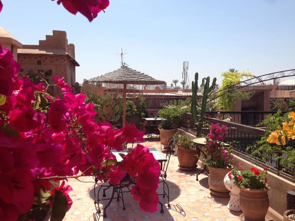 Riad Mehdia - photo 19
