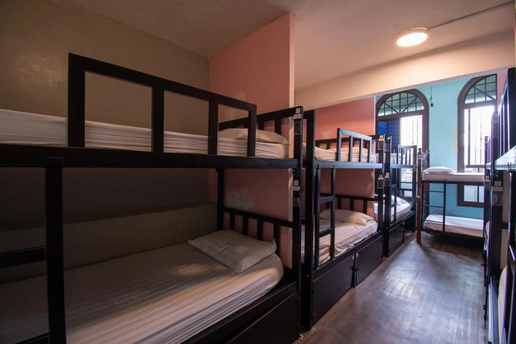 The Travel Hub Guesthouse - photo 5