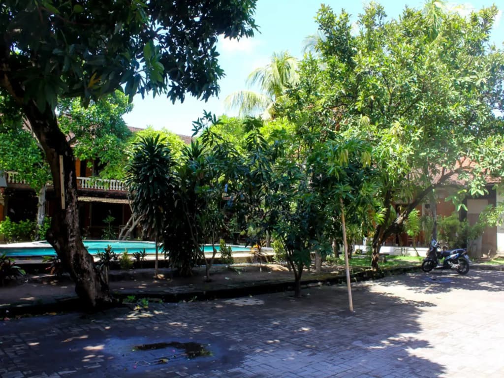 Budhi Beach Inn - photo 15