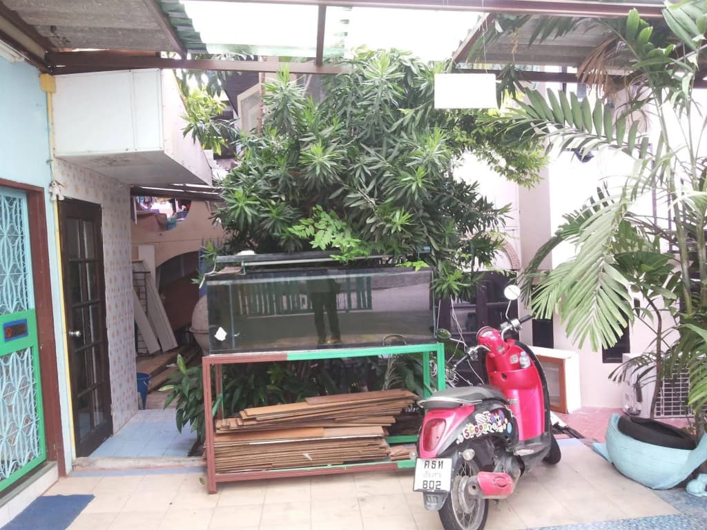 OYO 471 Sunshine Apartment - photo 15