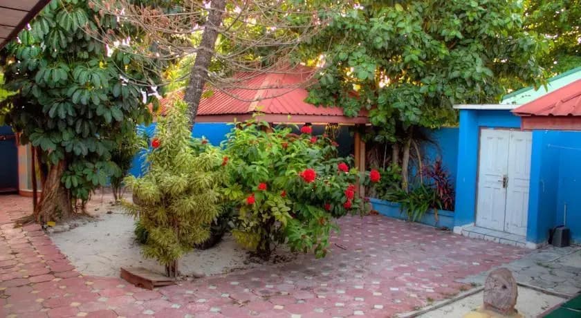 Surf Inn Maldives - photo 6