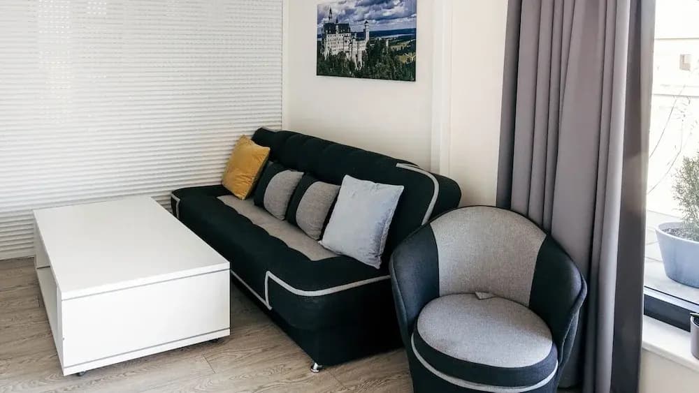 Cozy Apartment with Big Terrace - Karlín - photo 5