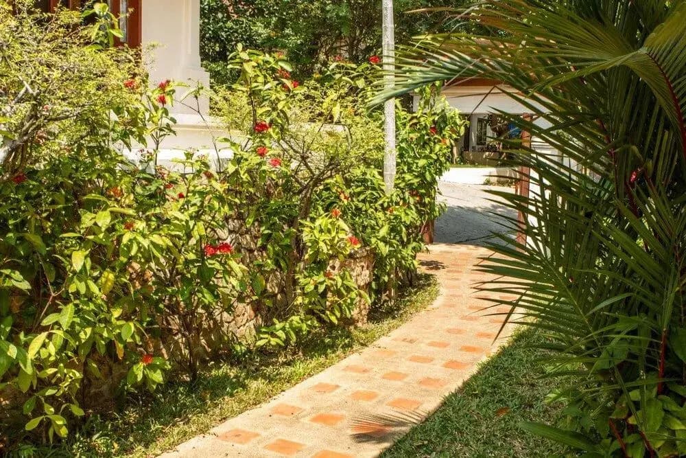 Villa Sapparos - Choeng Mon - photo 9