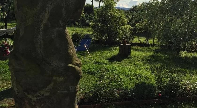 Fiorenza - photo 48