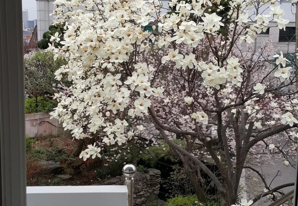 White Rabbit Guesthouse - photo 1