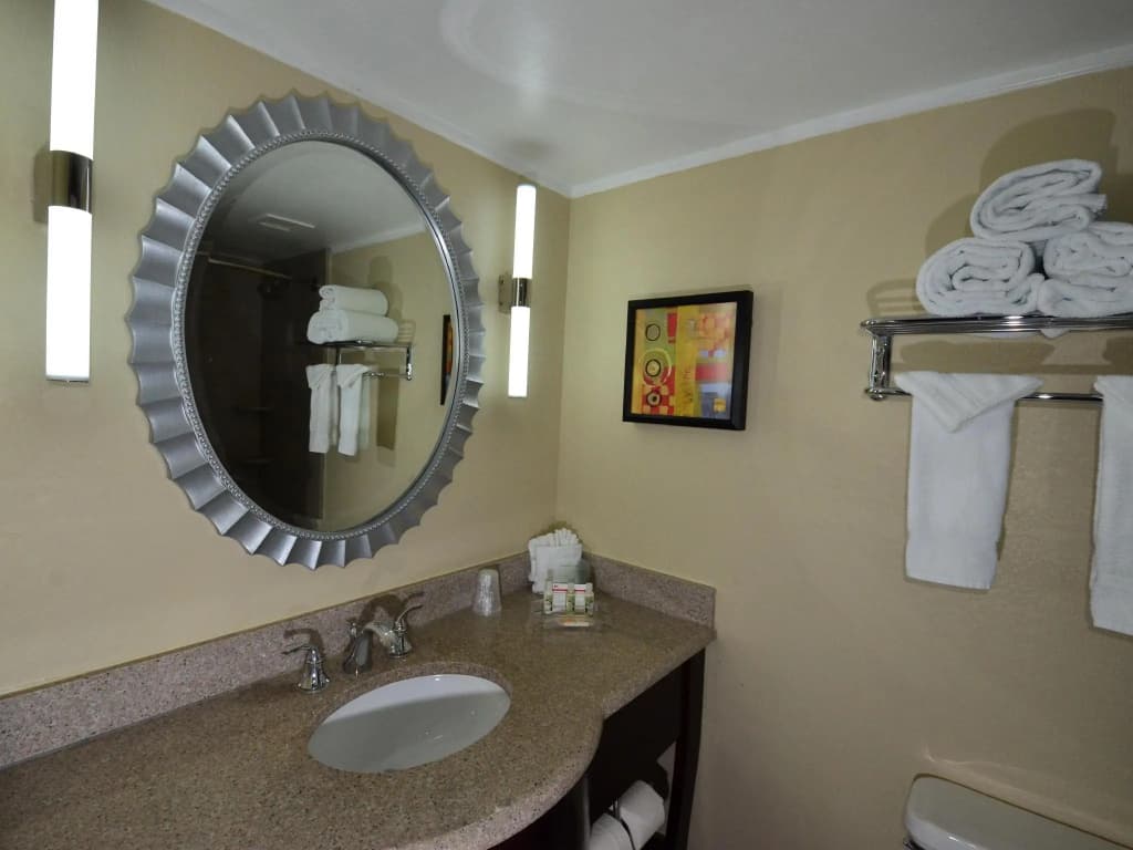Holiday Inn Orlando East - UCF Area by IHG - photo 8