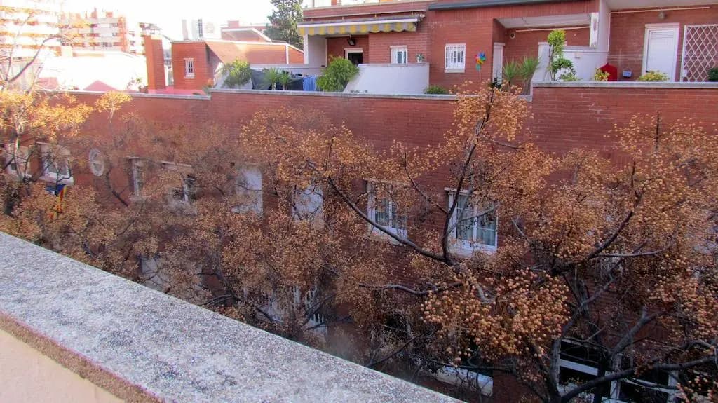 Townhouse Barcelona Stadium - photo 9