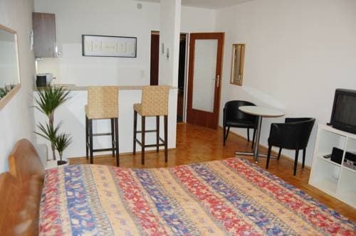 Vienna's Place Apartment Karlsplatz - photo 6