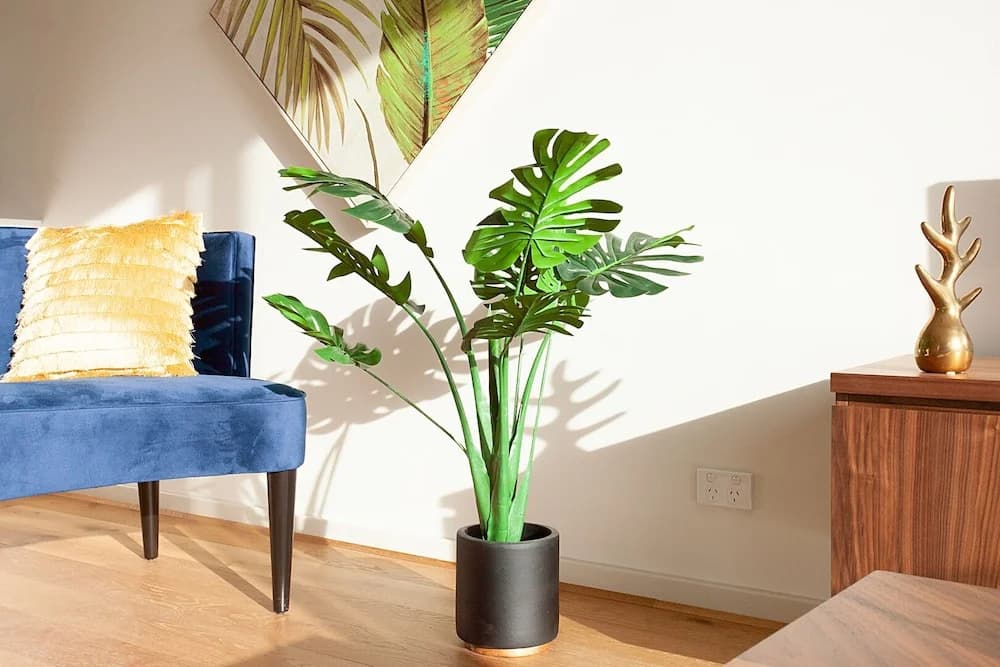 KULA North Sydney - photo 13